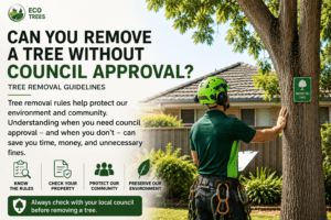 Can You Remove a Tree Without Council Approval